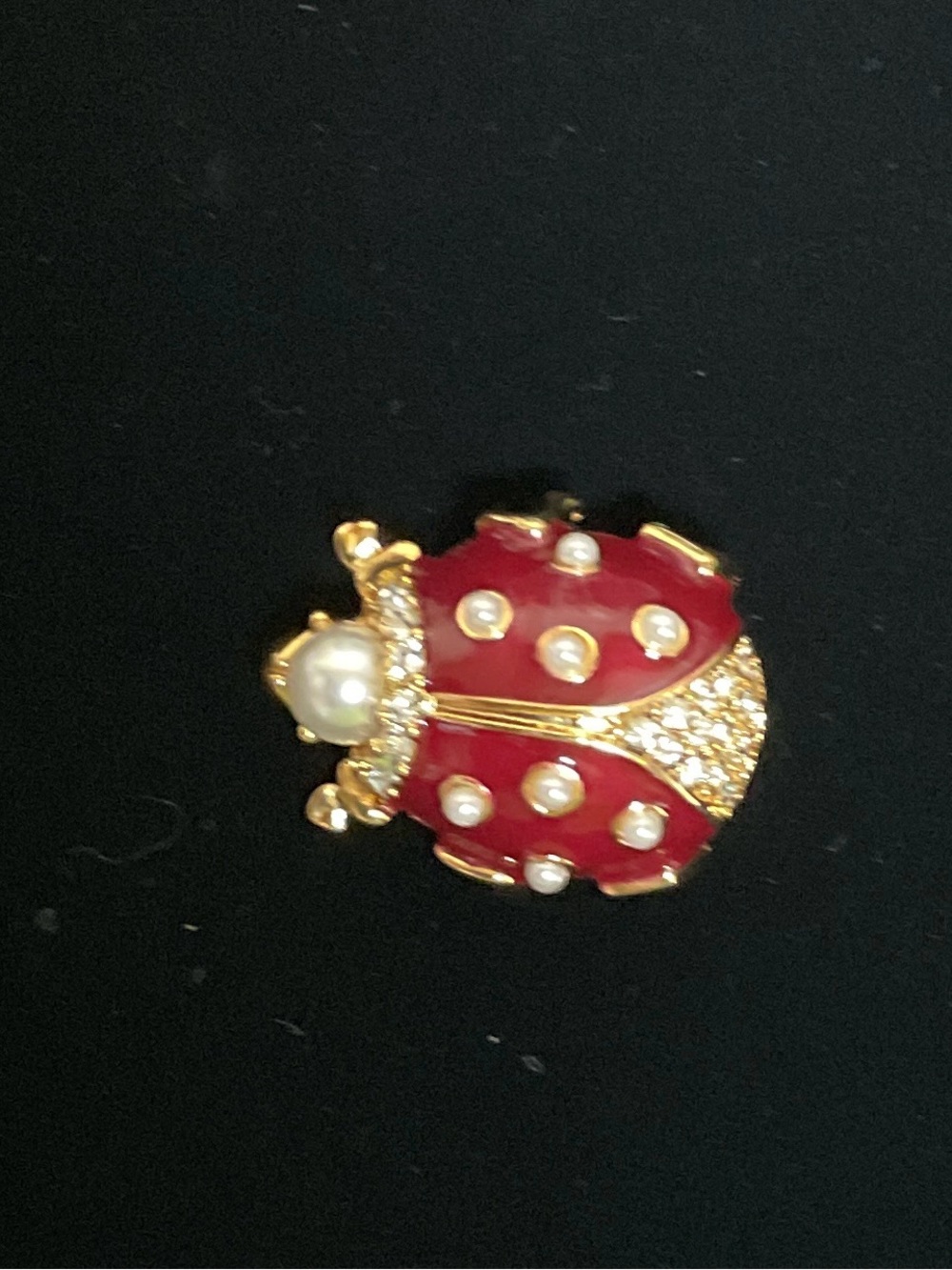 Rare MMA CN CINER Signed, Lady Bug Brooch